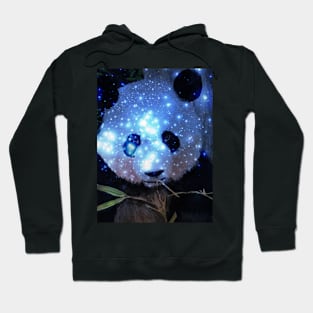 Panda Bear Hoodie